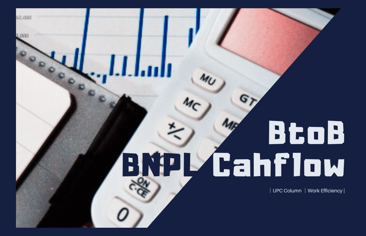 btob_bnpl_cashflow